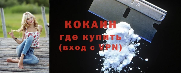 шишки Богданович