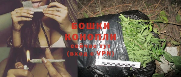 шишки Богданович