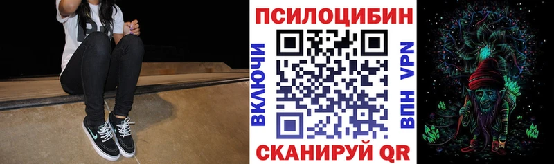 где купить   блэк спрут ссылки  Галлюциногенные грибы Psilocybine cubensis  Плёс 